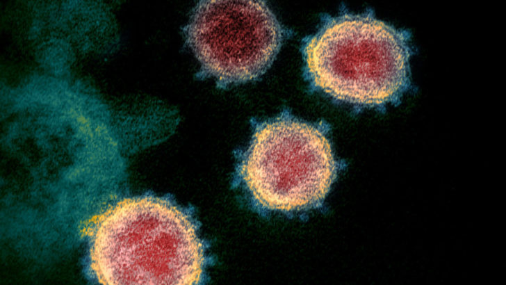 Lamont: 257 new CT coronavirus cases, total now 857; 113 in hospital and now 19 dead