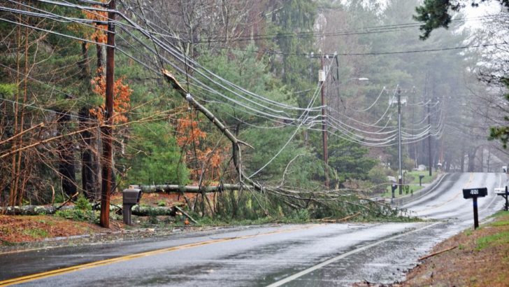 Eversource : Company Crews Working to Restore Power After Fierce Rain and Wind Storm Amid Ongoing COVID-19 Pandemic