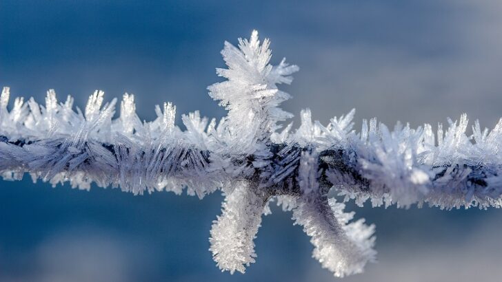 Governor Lamont directs state office buildings closed to the public Friday due to winter storm